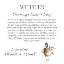 Wrendale Plush Duck!  Webster!