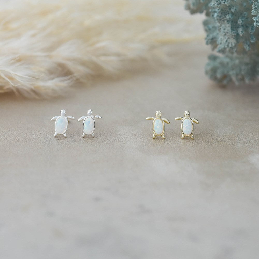 Maui Studs!