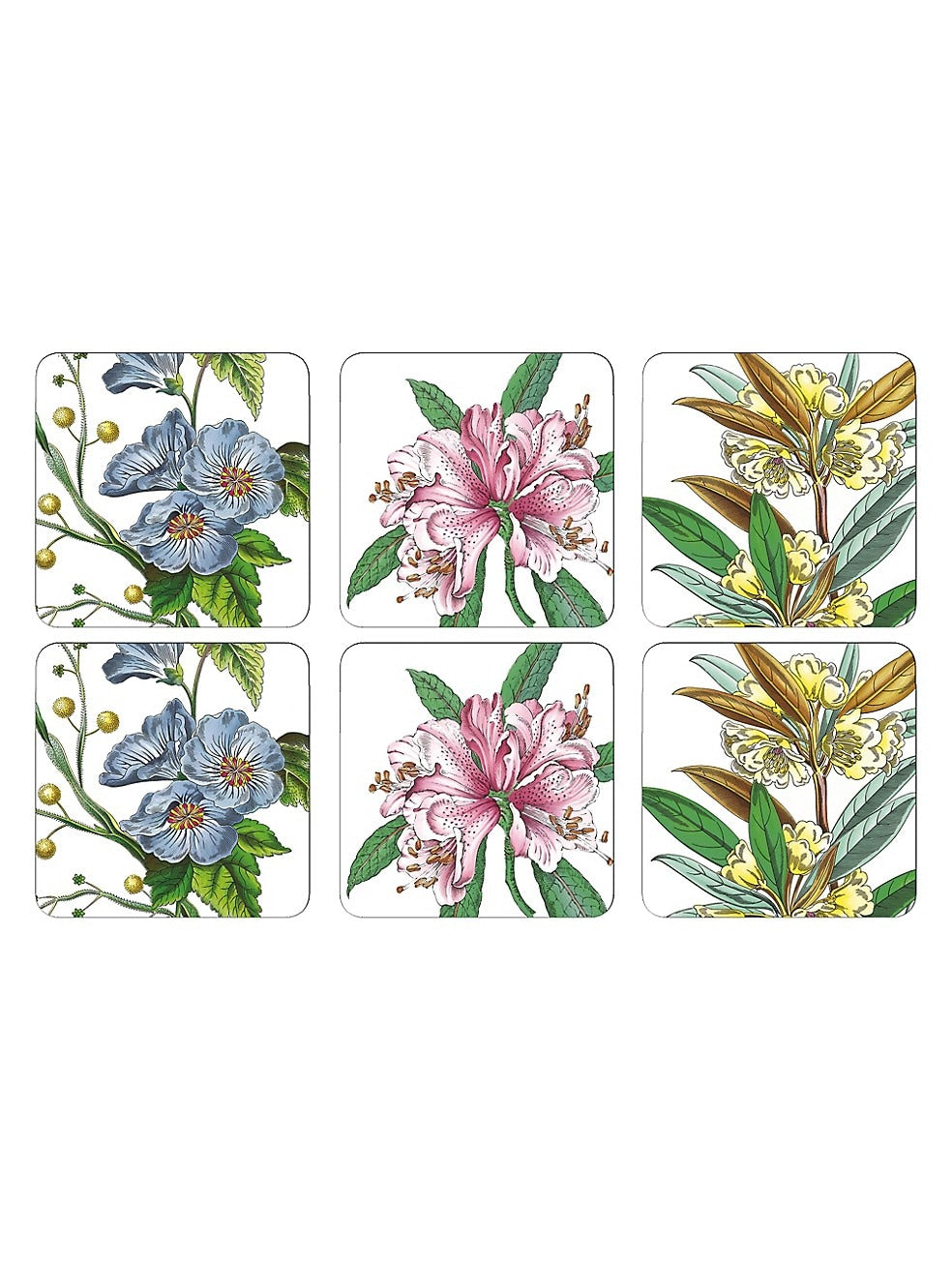 Stafford Blooms Coaster Set!