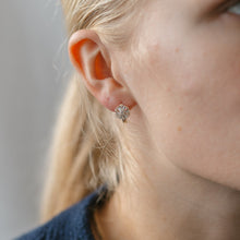 Frosted Hoops