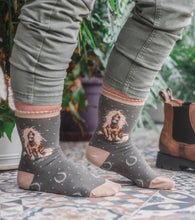 Gloria Horse sock By Wrendale