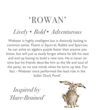 Meet Rowan Junior The Hare, By Wrendale!