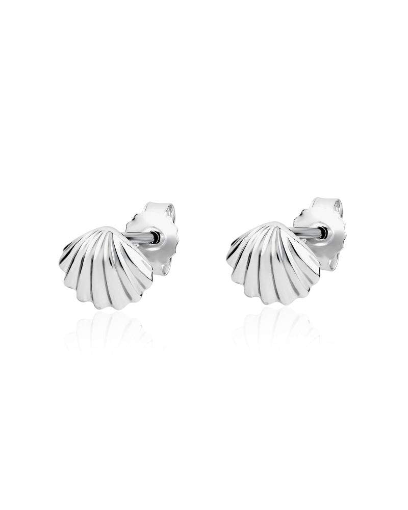 Ridged Shell Sterling Silver Earrings!