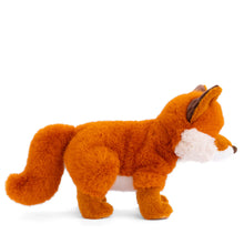 Sweet Clever Fox By Bukowski Two Sizes