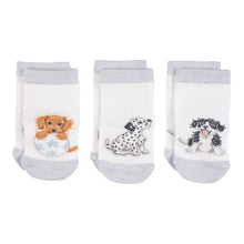 Little Paws Baby Socks Set!