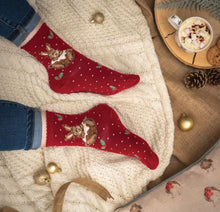 Little Pudding Christmas Socks By Wrendale!