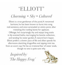 Elliott The Frog By Wrendale Plush