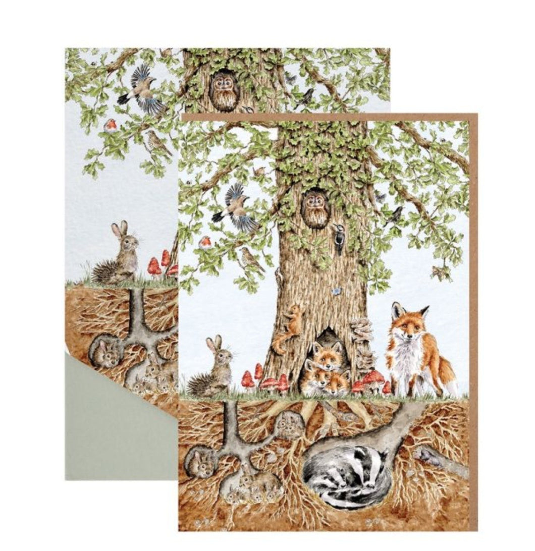 Wild Woodland Notecard Pack By Wrendale