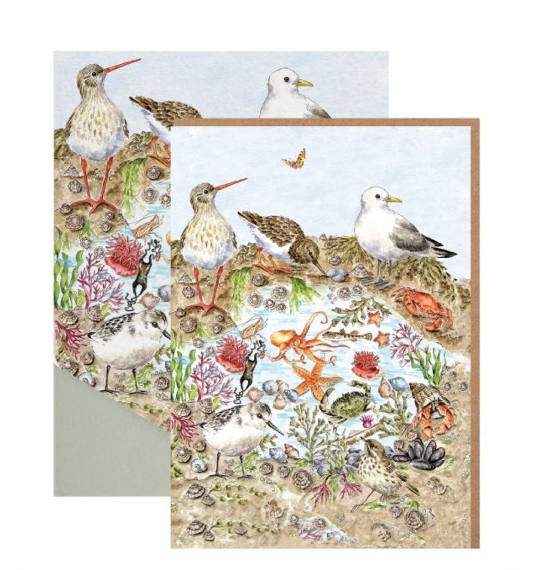 Secrets Of The Sea Notecard Pack By Wrendale