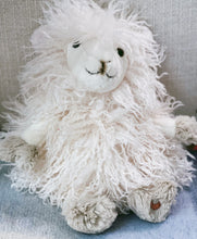 Beryl The Lamb!