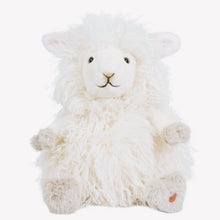 Beryl The Lamb!