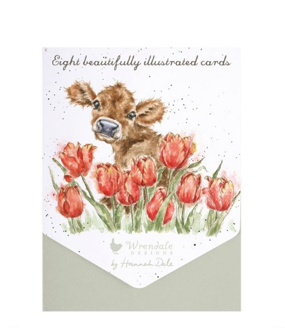 Bessie Note Cards Boxed Set By Wrendale
