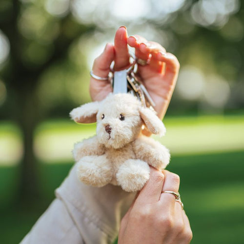 Ralph The Labrador Plush Keyring!