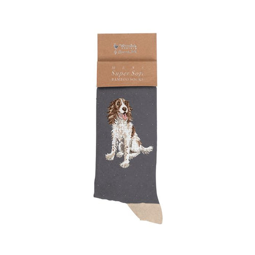 Spaniel Men’s Sock!  Willow!
