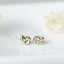 Swirl Shell Stud Earrings