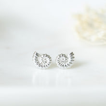 Swirl Shell Stud Earrings