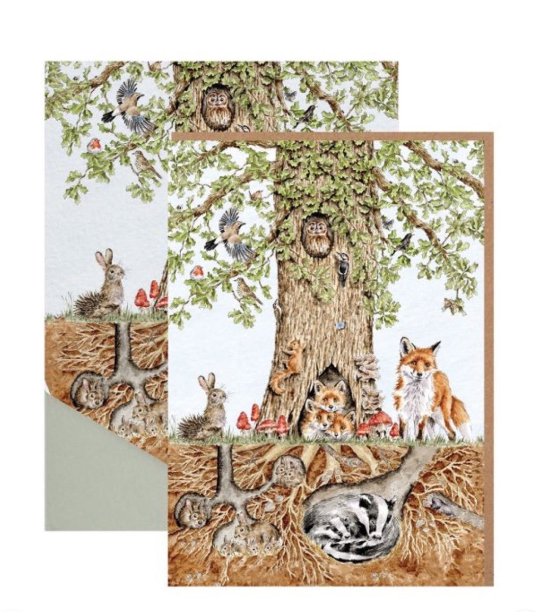 Wild Woodland Notecard Pack By Wrendale