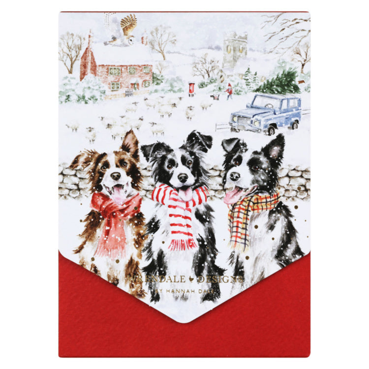 While Shepherds Watch Notecard Pack By Wrendale