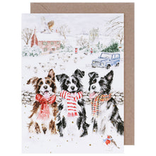 While Shepherds Watch Notecard Pack By Wrendale