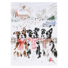 While Shepherds Watch Notecard Pack By Wrendale