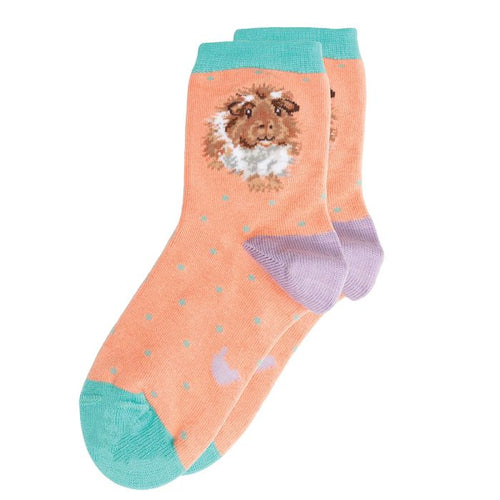 Grinny Pig Guinea Pig Children’s Sock!