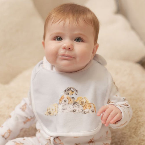 Little Paws Bib Set!