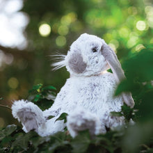 Rosie The Plush Rabbit!