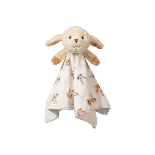 Little Paws Plush comforter!