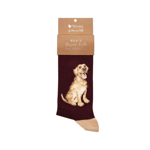 Men’s Golden Labrador Socks!