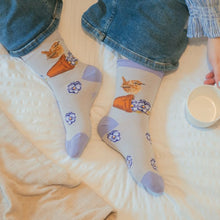 Little Wren Pottering Around Socks!