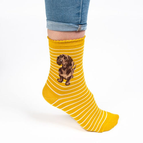 Dachshund Ladies Socks!