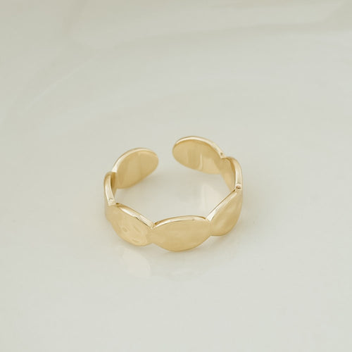 Pippi Ring!