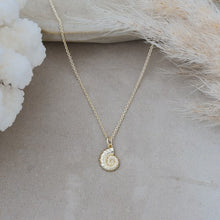 Spiral Shell Necklace!
