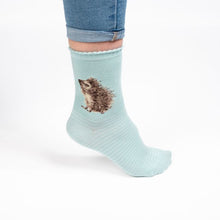 Hedgehog Socks!