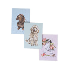 Set Of Three Notebooks, A Dog’s Life!