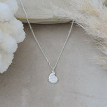 Spiral Shell Necklace!